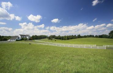 Charlottesville Virginia Farm/Vineyard