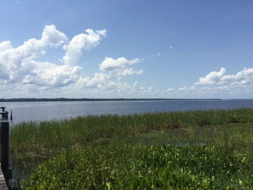 MAJESTIC RIVERFRONT ESTATE ON ST. JOHNS RIVER WITH 20 