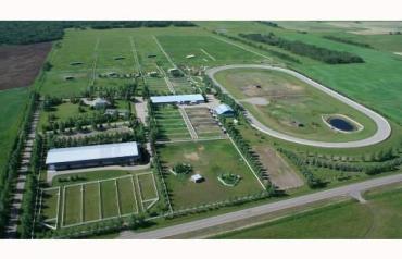 Calgary's Premier Equine Facility