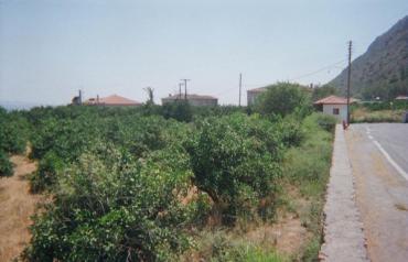 EXCELLENT INVESTMENT PROPERTIES