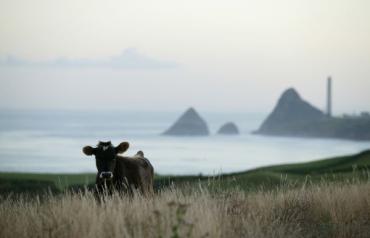 Tapuae Country Estate