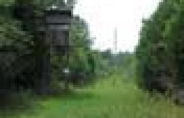 895 Acres in Pike County, Georgia