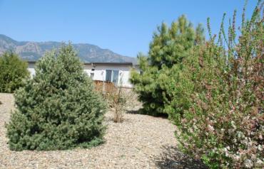 700 ACRES and 4200 SQUARE FT RANCH HOME AT BASE OF GREENHORN MOUNTAIN< COLORADO