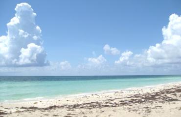 Costa Maya Beachfront - Paytocal