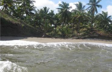 10 acres with 250 meter of beach front