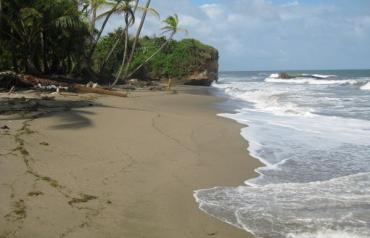 5, 7, 15 and 47 acress beach front