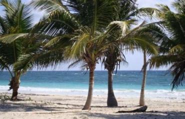 Costa Maya Beach Property