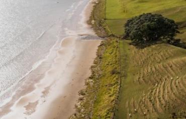 Exceptional Beachfront