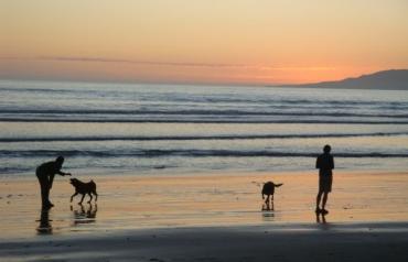 Bargain sale for beachfront property. $ 59000 + gst