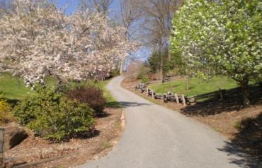 ON_LINE AUCTION - MAGNIFICENT MOUNTAIN PARADISE - NORTH CAROLINA