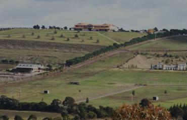 Eagleview
