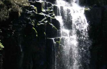 Your own waterfall and beautiful home on 2 landscaped acres in the Bay of Islands, or included in a 11 acre package with 3 titles.