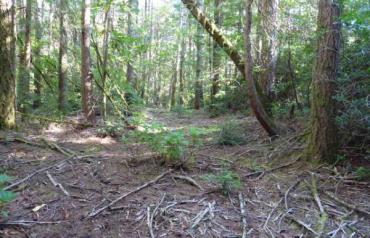 RARE GEM   BANDON  SOUTHERN OREGON COAST
