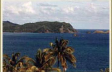 82 Acre Oceanfront Caribbean Estate - TOBAGO