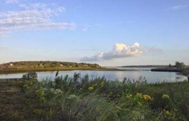 5 Bedroom Residential In New York, Usa (ref. 27528478)