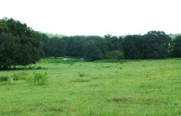 953 Acres (2,355 Hectares) Ranch - Farm For Sale