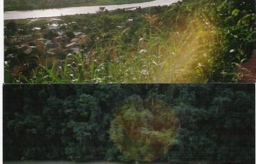 Bolivian land for sale (large mineral deposits, furtile farmland