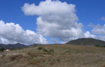 4 Lots Totalling 6 Acres; Convenient to Everything